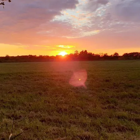 10 Person In Vaeggerlose *